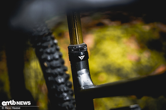 YT Decoy X mit Avinox M2S - Test und NeuvorstellungZ8H 2705