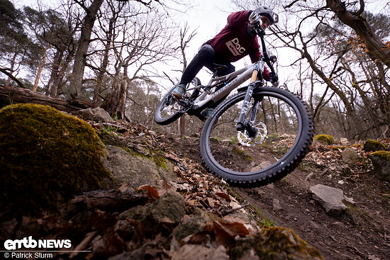 Amflow PX Carbon 2026 PSturm-16