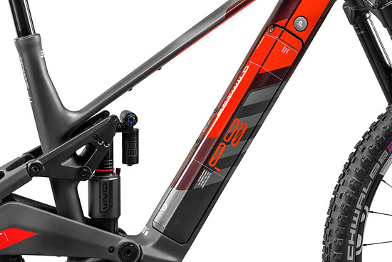 ROTWILD REXC-PRO DSC 2535