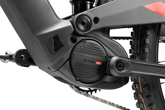 ROTWILD REXC-PRO DSC 2526