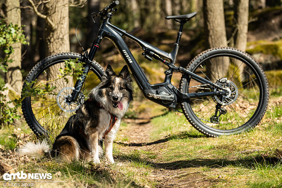 Singletrails, gebaute Trails, nicht zu garstig oder zu schnell – was ich mit tierischer Begleitung fahren würde, passt für mich auch zum Einsatzbereich des Aventon Current EXP.