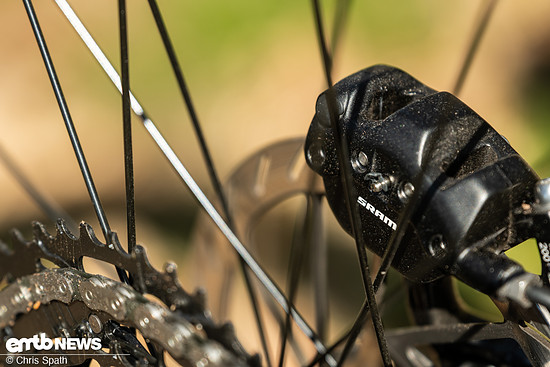 Foto Chris Spath Aventon Current -29
