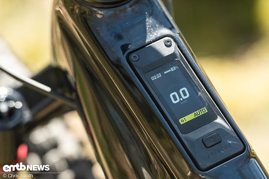 Foto Chris Spath Aventon Current -43