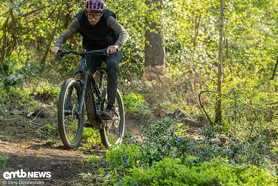 Foto Ines Dennemark Aventon Current EXP TOA-13