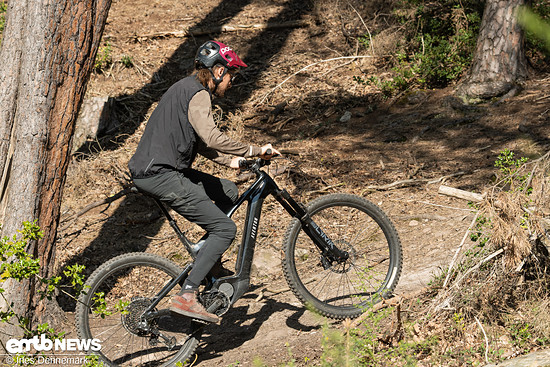 Foto Ines Dennemark Aventon Current EXP TOA-23