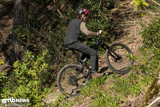 Foto Ines Dennemark Aventon Current EXP TOA-24