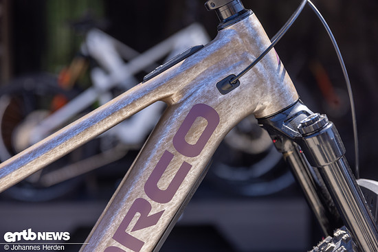 EMTB Sea Otter-3
