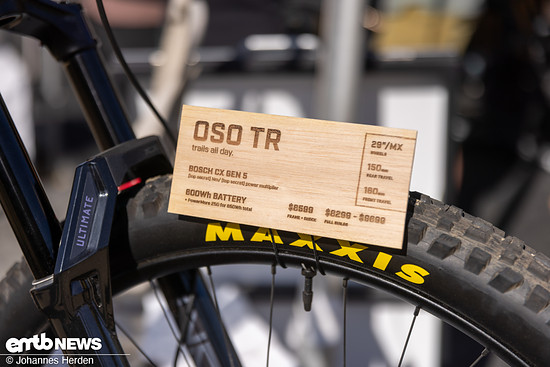 EMTB Sea Otter-13