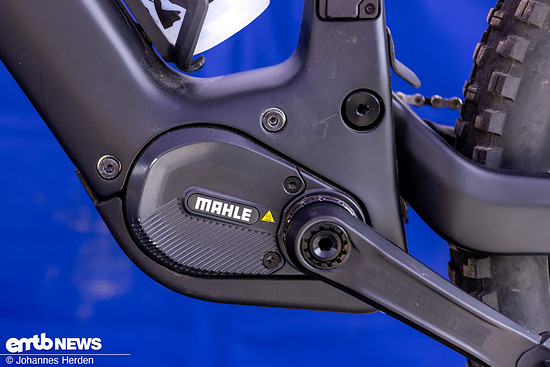 EMTB Sea Otter-29