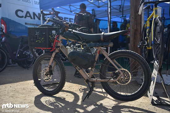 Sea Otter Classic Tag 3-117