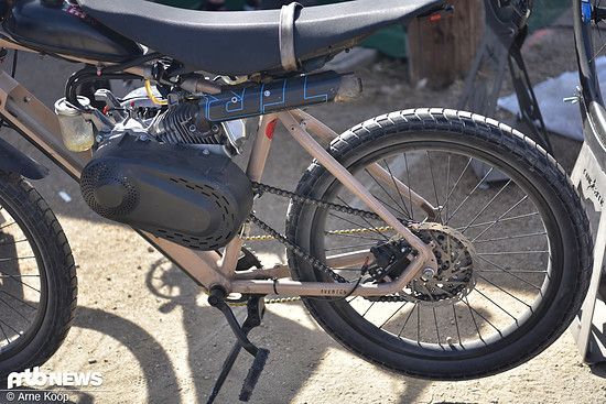 Sea Otter Classic Tag 3-122