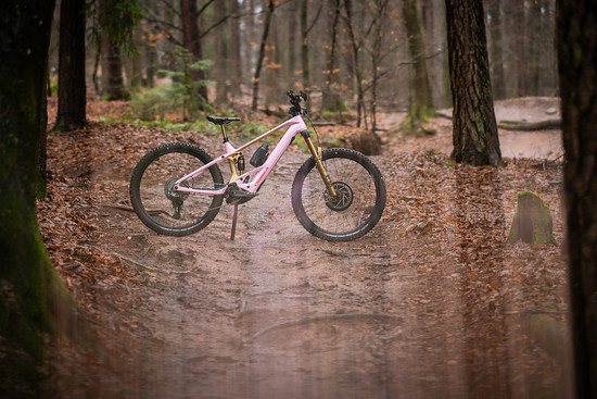 Auch 2026 setzt das Team auf das Orbea Wild in einer speziellen Teamlackierung.