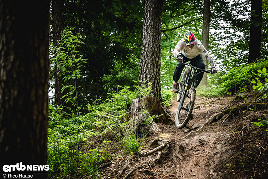 Auf dem Trail besticht das ...