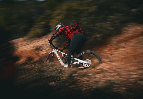 Pole Hiisi Leo DHMEN berm pan 0