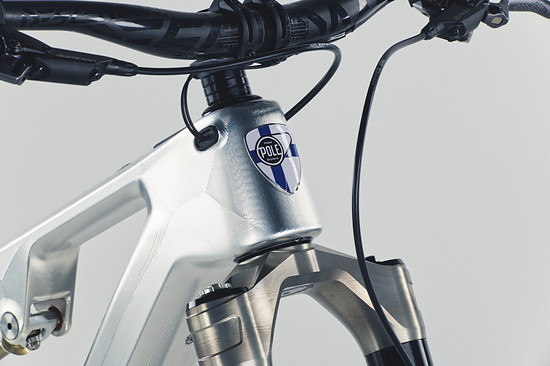 Pole Hiisi Proto DSF Closeup HeadBadge 0