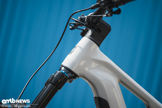 bikestage-focus-98244