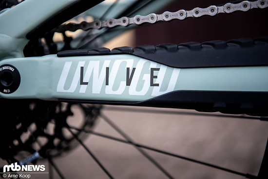 Dazu gibt es satte 170/160 mm Federweg, die das Decoy X in der E-Enduro-Kategorie platznehmen lassen.