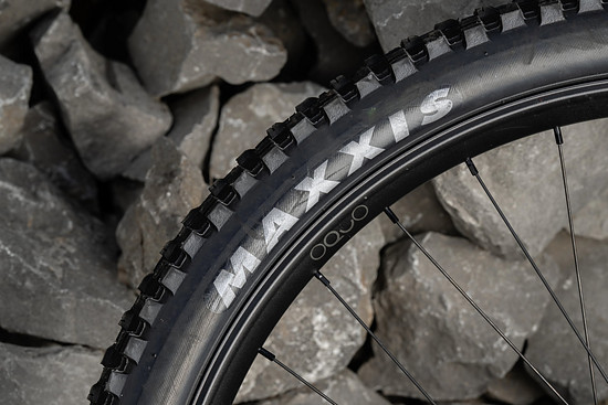 Die Exo+/DD-Reifen waren nur fürs Produktshooting am Bike – für den Trail-Einsatz wurden DH-Reifen montiert, die es auch im MyO-Konfigurator gibt.