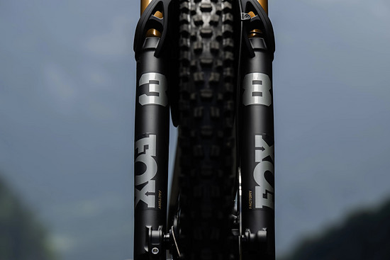 Orbea Roo Fowler - 3000 x 200028