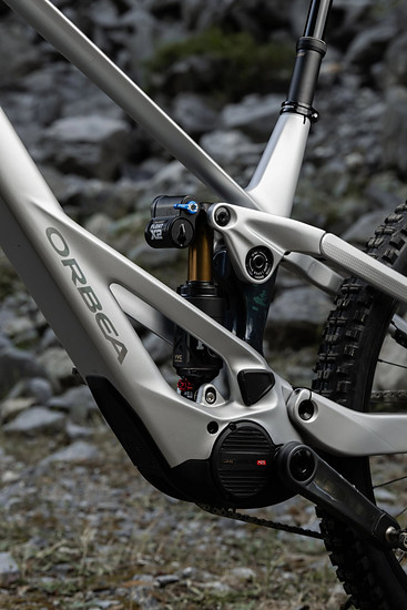 Orbea Roo Fowler - 3000 x 200042