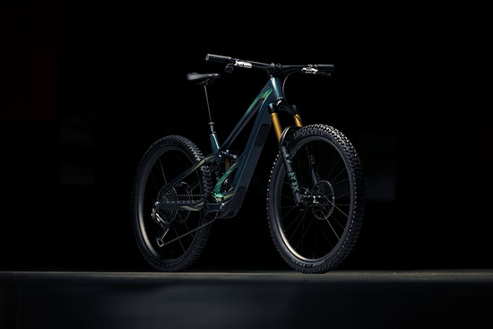 Orbea Wild LT - 3000 x 20007