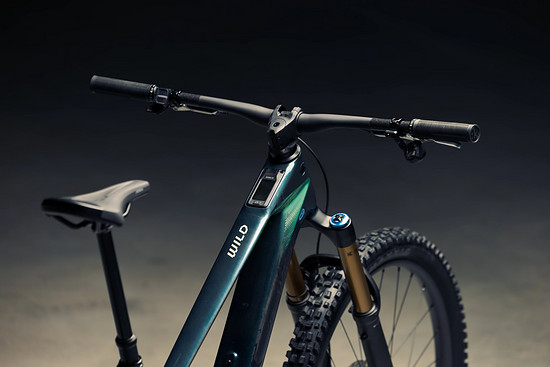 Orbea Wild LT - 3000 x 20006