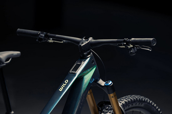 Orbea Wild LT - 3000 x 20004