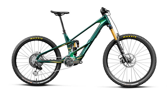 Wild LT M LTD RS (Mullet) - 3000 x 2000