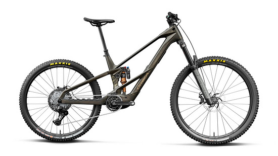 Wild LT M20 (mullet) - 3000 x 2000