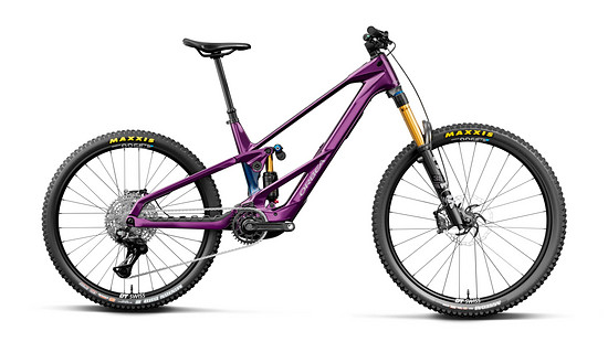 Wild LT M10 (Mullet) - 3000 x 2000