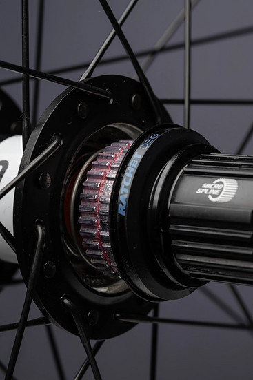 Orbea Roo Fowler - 3000 x 200032
