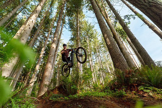 MARIN BIKES ALPINE TRAIL E XR LIFESTYLE (13)