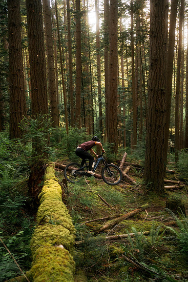 MARIN BIKES ALPINE TRAIL E XR LIFESTYLE (27)