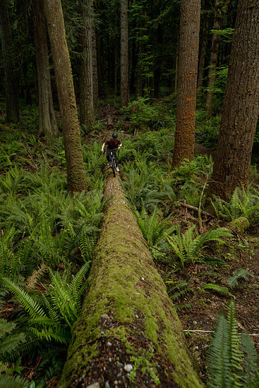 MARIN BIKES ALPINE TRAIL E XR LIFESTYLE (30)