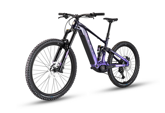Marin Alpine Trail E1
