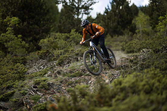 Orbea Roo Fowler - 3000 x 200068