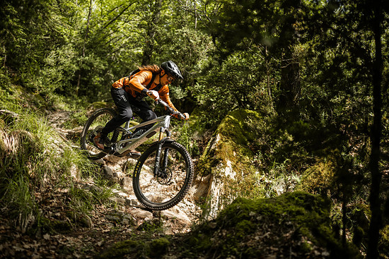 Orbea Roo Fowler - 3000 x 200063