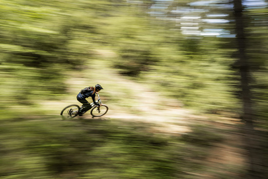 Orbea Roo Fowler - 3000 x 200051