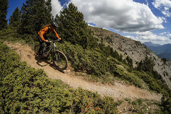 Orbea Roo Fowler - 3000 x 200039