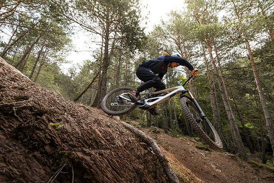 Orbea Roo Fowler - 3000 x 200037