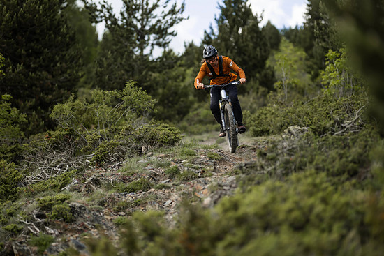 Orbea Roo Fowler - 3000 x 200031