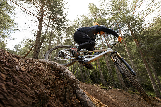 Orbea Roo Fowler - 3000 x 200030