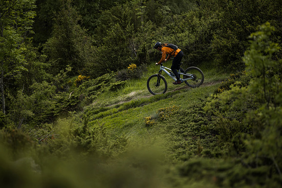 Orbea Roo Fowler - 3000 x 200029