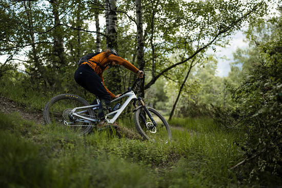 Orbea Roo Fowler - 3000 x 200025