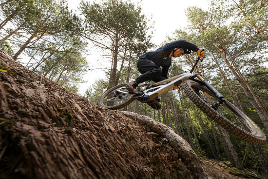 Orbea Roo Fowler - 3000 x 200022