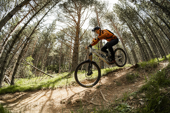 Orbea Roo Fowler - 3000 x 200021