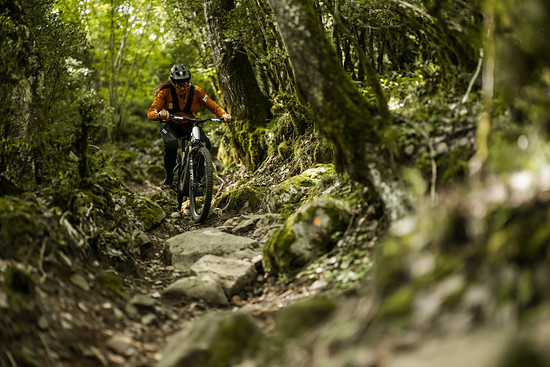 Zeigt der Trail die Zähne, offenbart das Wild LT, dass es von dynamisch agil in sekundenschnelle in den Rennmodus umschalten kann: effizient, pfeilschnell und präzise.