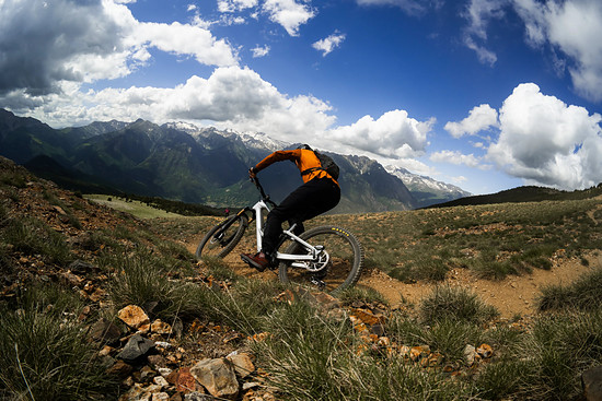 Orbea Roo Fowler - 3000 x 200013