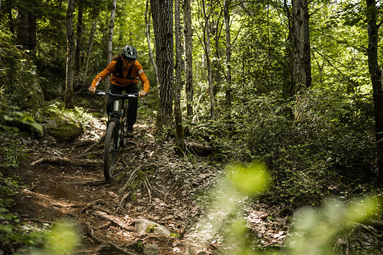 Orbea Roo Fowler - 3000 x 20009
