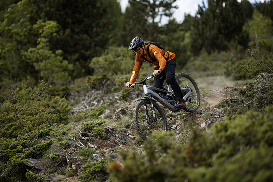 Orbea Roo Fowler - 3000 x 2000